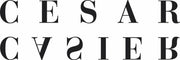 Translation missing: en.Cesar Casier accessibility.home