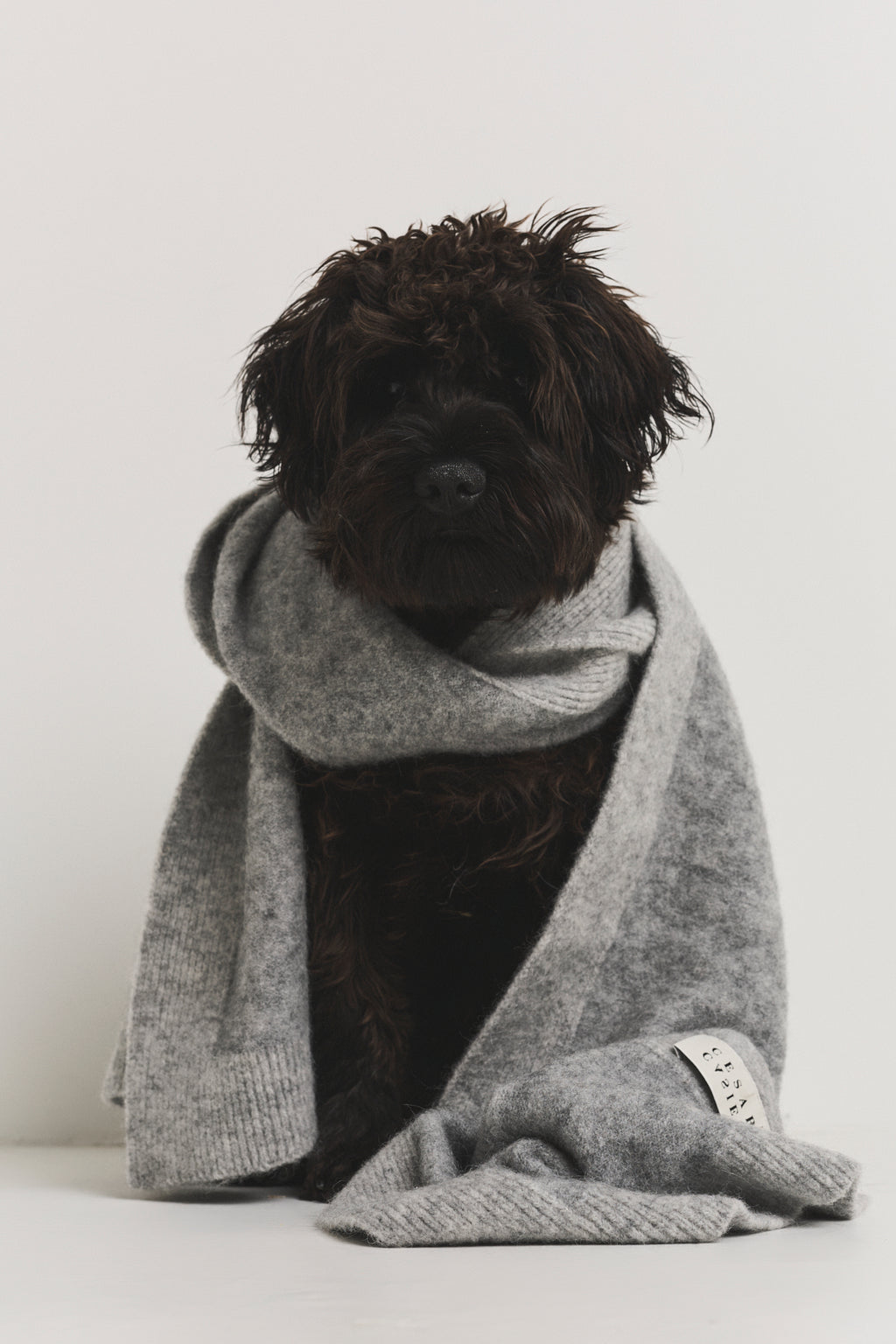 GSTAAD SCARF