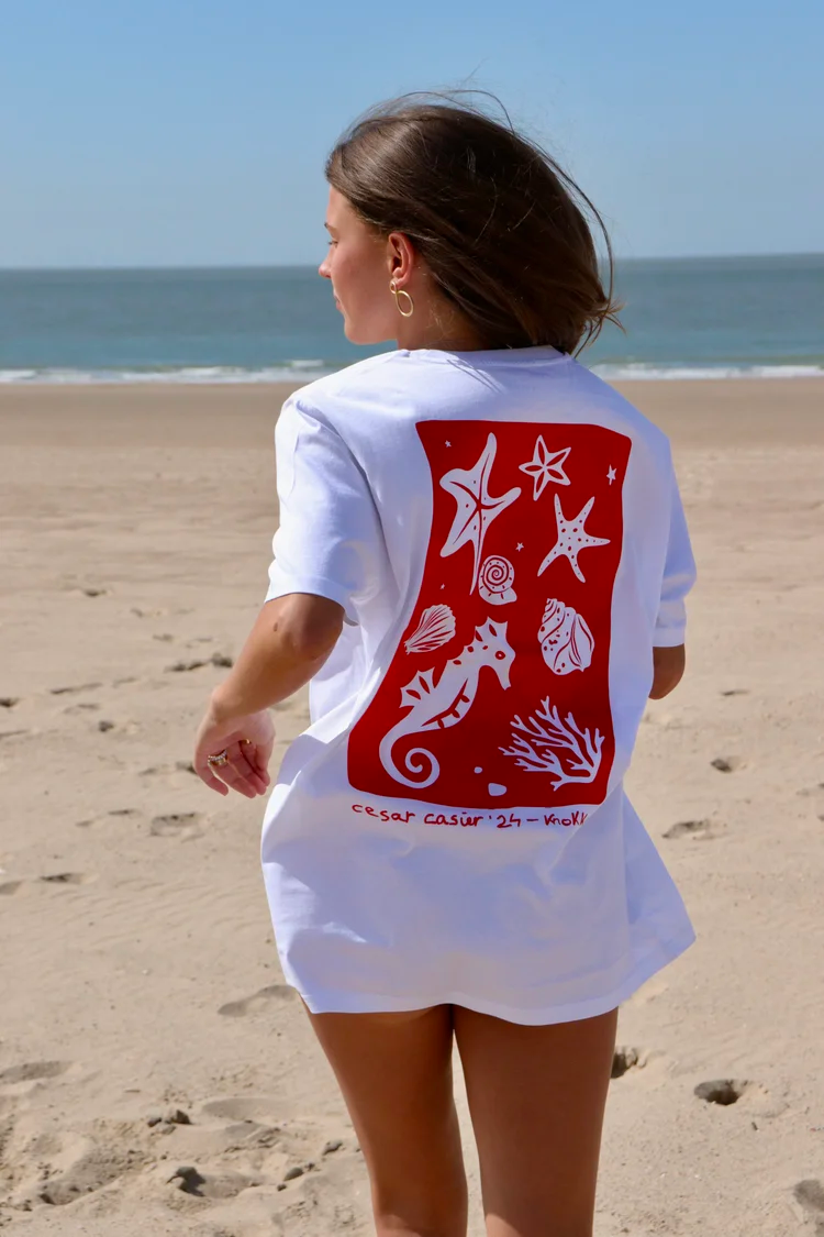 RED SEA STARS