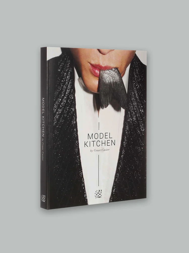 MODEL KITCHEN