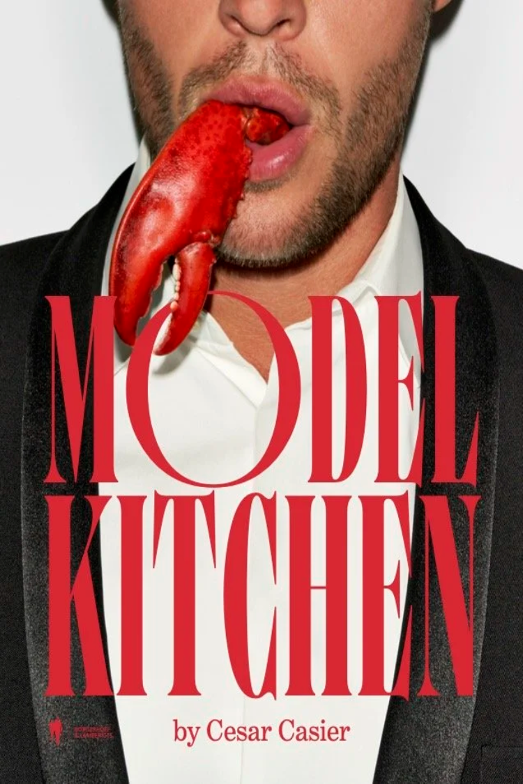 MODEL KITCHEN