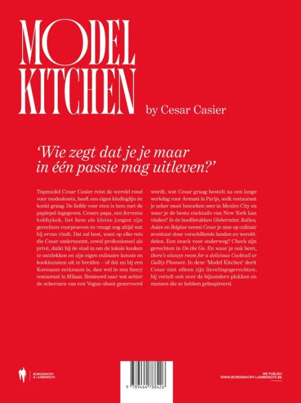 MODEL KITCHEN